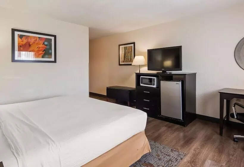هتل Best Western Plus Newark/christiana Inn