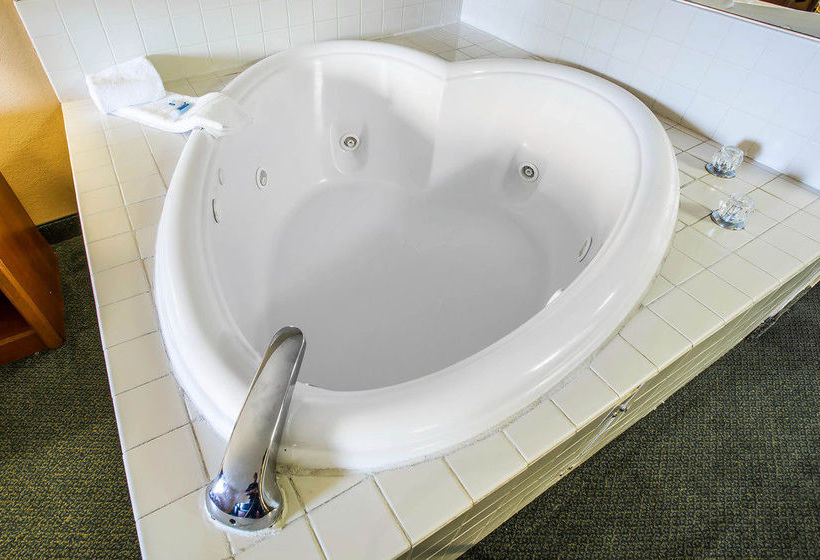 Отель Rodeway Inn Chattanooga