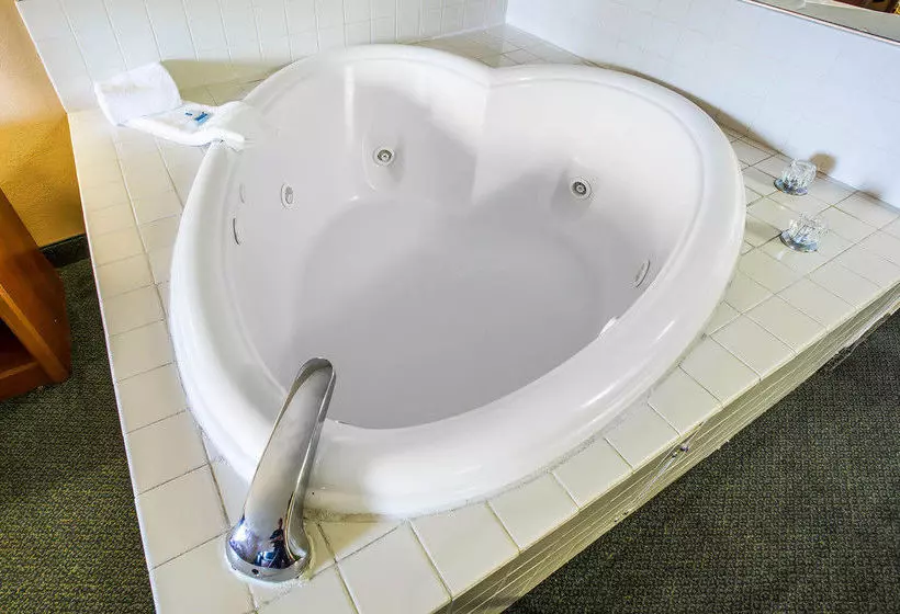 酒店 Rodeway Inn Chattanooga