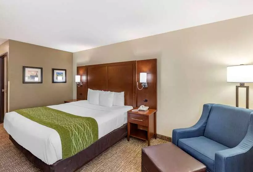 酒店 Comfort Inn & Suites Greeley