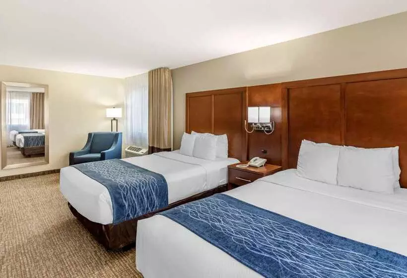 酒店 Comfort Inn & Suites Greeley