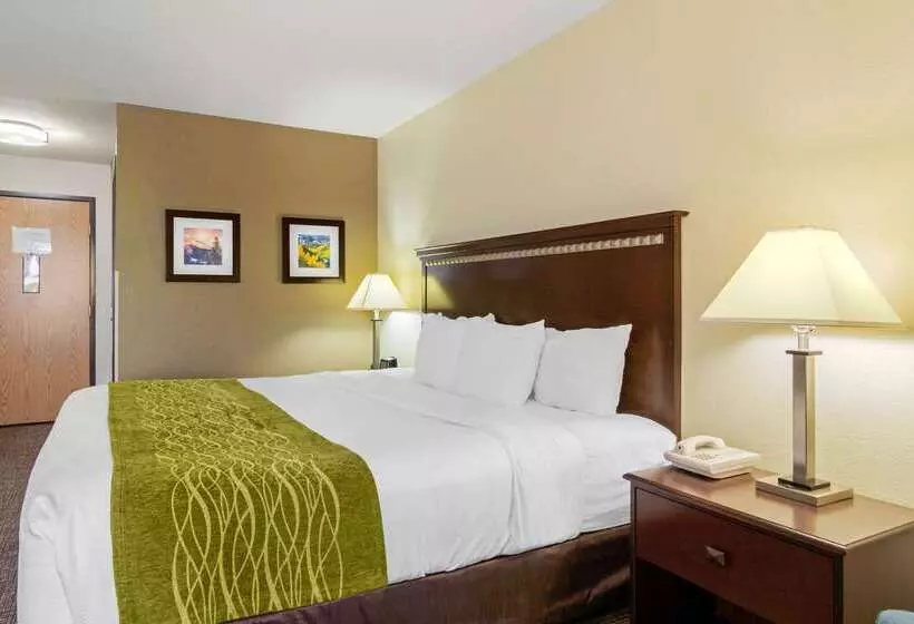酒店 Comfort Inn & Suites Greeley