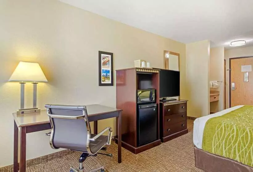 酒店 Comfort Inn & Suites Greeley