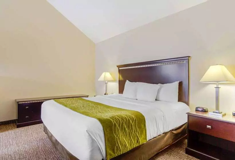 酒店 Comfort Inn & Suites Greeley