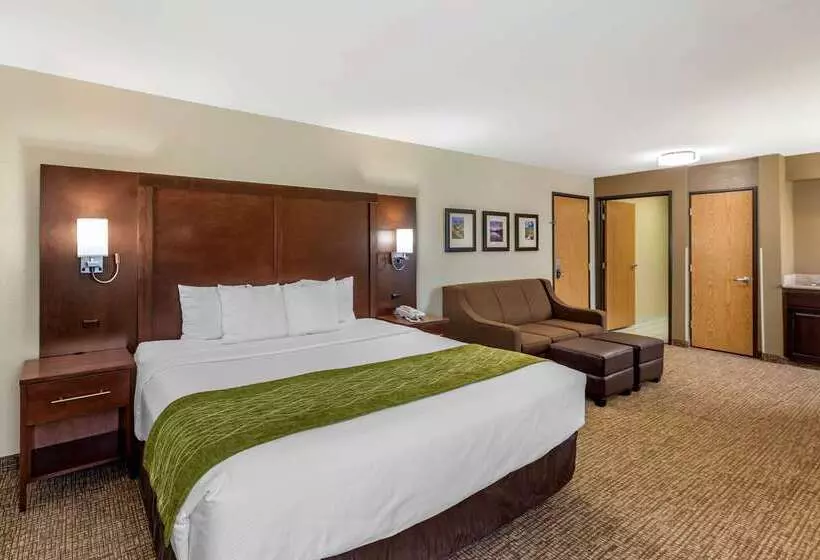 酒店 Comfort Inn & Suites Greeley