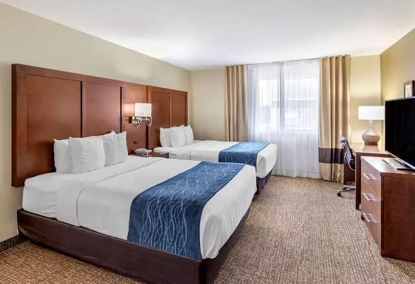 酒店 Comfort Inn & Suites Greeley
