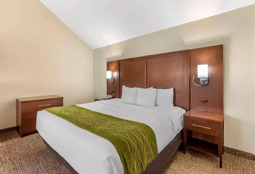 酒店 Comfort Inn & Suites Greeley