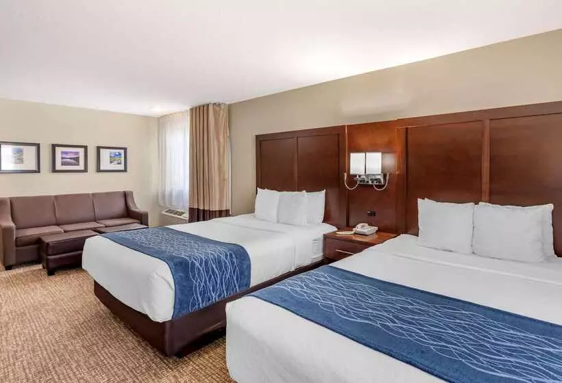 酒店 Comfort Inn & Suites Greeley