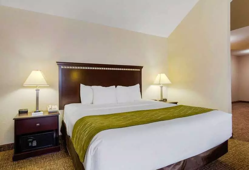 酒店 Comfort Inn & Suites Greeley
