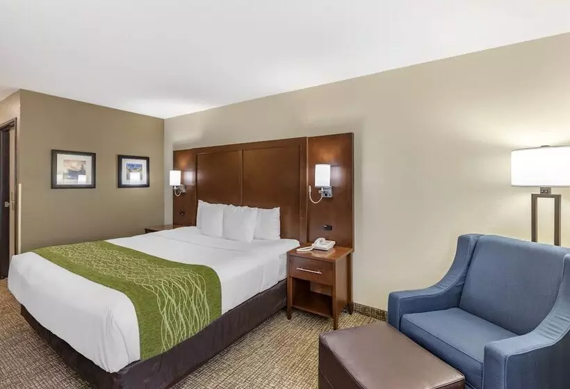 酒店 Comfort Inn & Suites Greeley