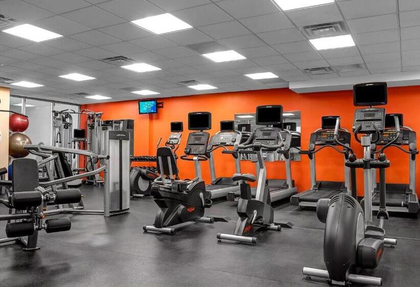 酒店 Courtyard New York Manhattan/upper East Side