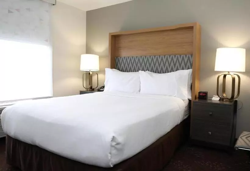 هتل Holiday Inn O Hare Area, An Ihg