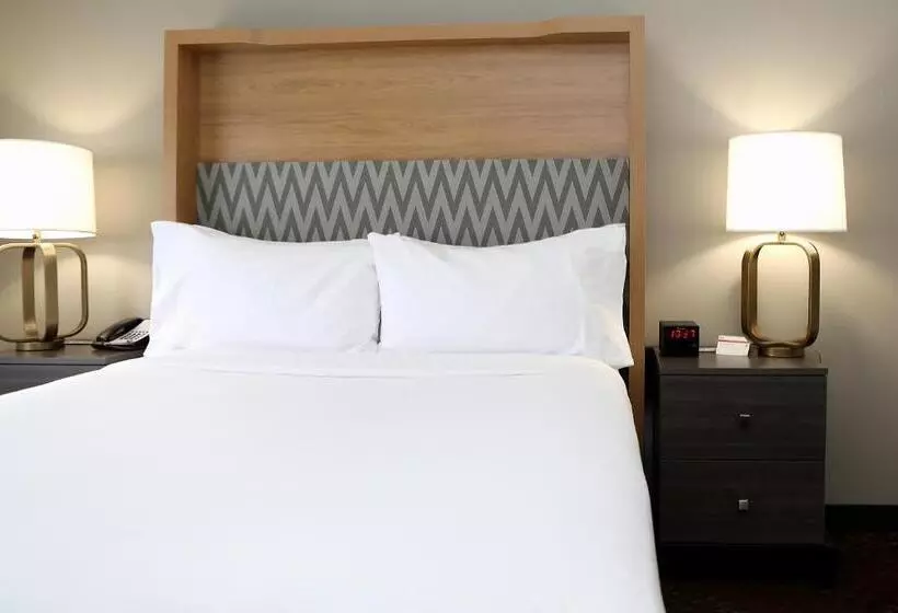 هتل Holiday Inn O Hare Area, An Ihg