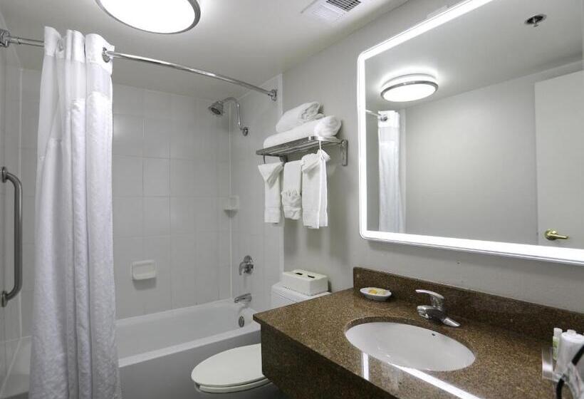 فندق Holiday Inn O Hare Area, An Ihg