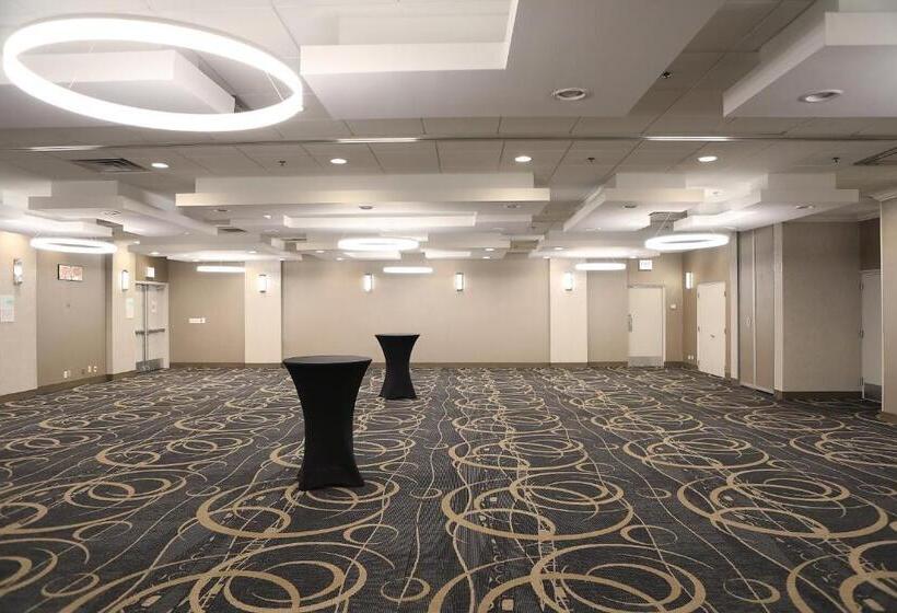 فندق Holiday Inn O Hare Area, An Ihg