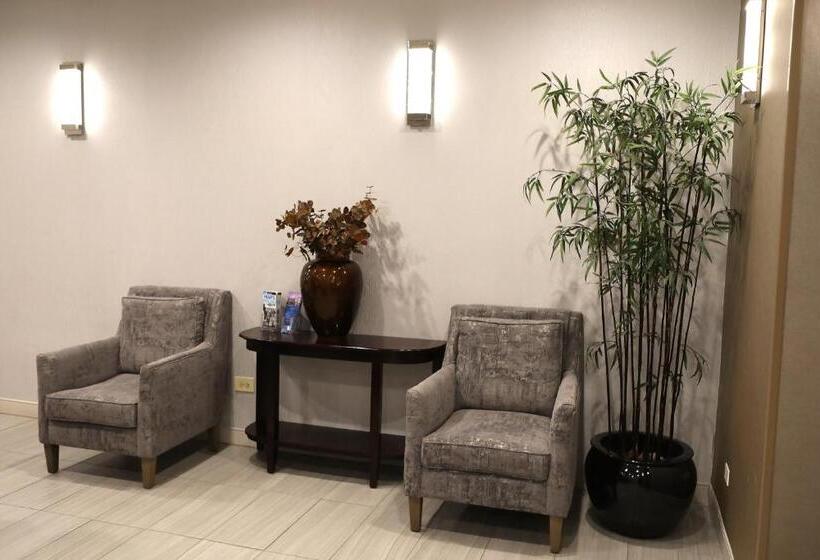 فندق Holiday Inn O Hare Area, An Ihg