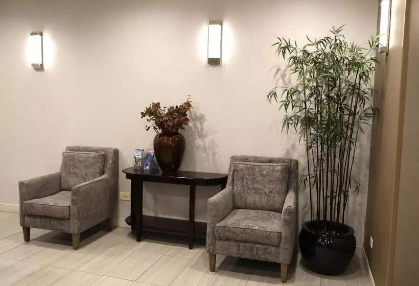 هتل Holiday Inn O Hare Area, An Ihg