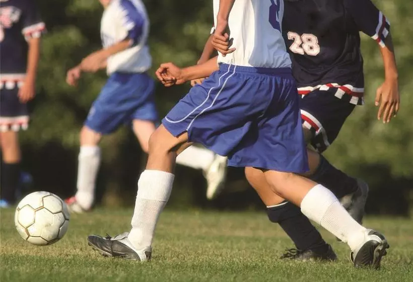 هتل Palmeraie Village 2