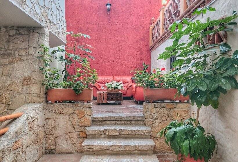 فندق Plaza Magnolias