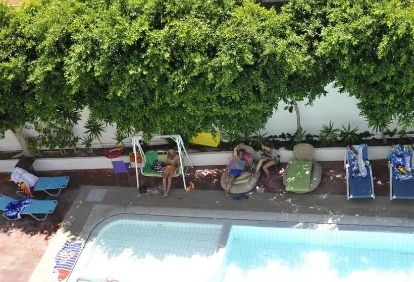 فندق Porto Plazza