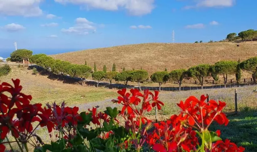 Hotelli Tenuta Dell Argento Resort