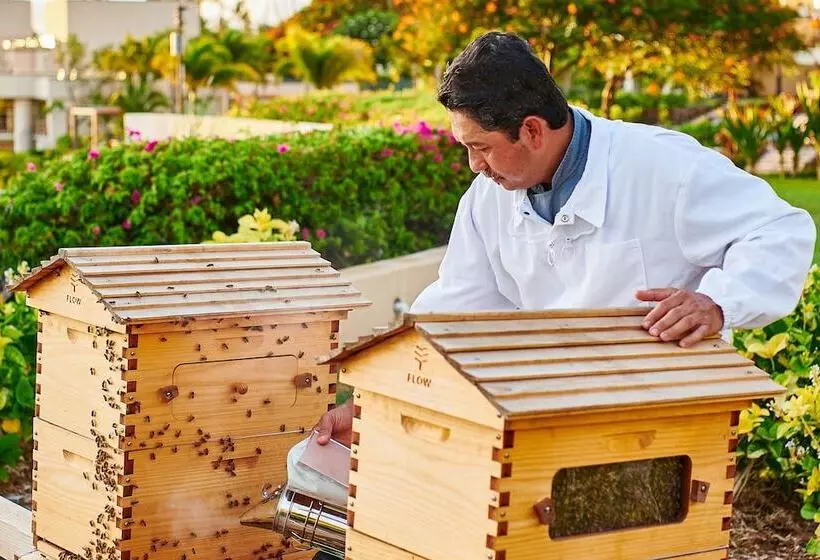 ホテル The Westin Hapuna Beach Resort