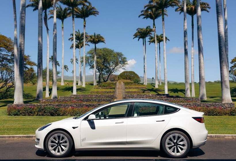 فندق The Westin Hapuna Beach Resort