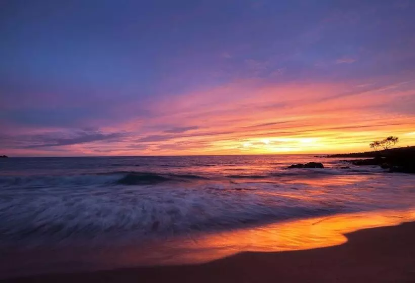 ホテル The Westin Hapuna Beach Resort