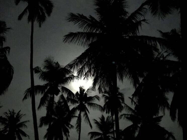 Hotel Hostel19 Langkawi