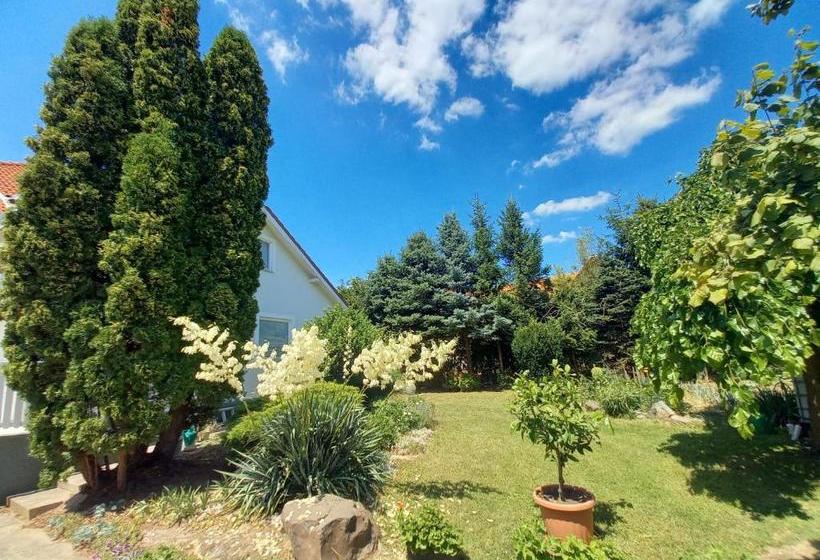 ペンション Hévízi Fecskefészek