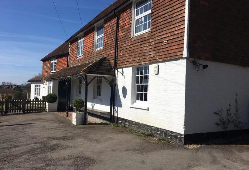 فندق The Cherry Tree Inn