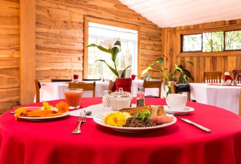 호텔 Claro De Luna