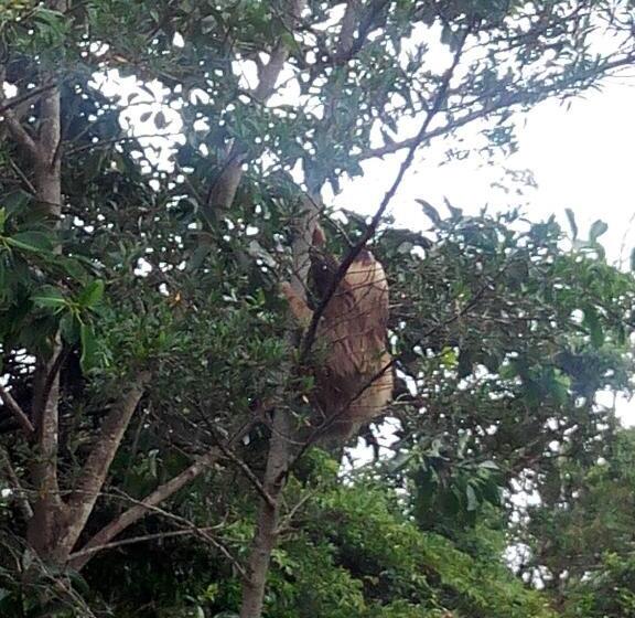 호텔 Claro De Luna