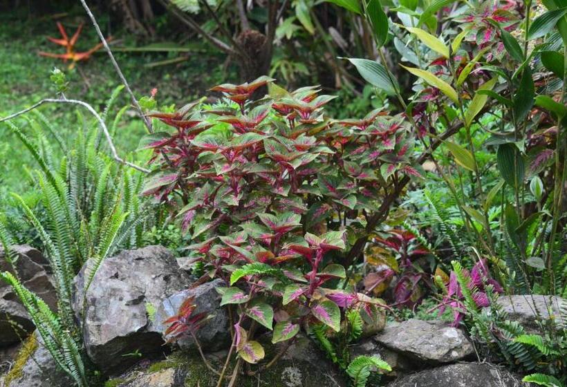 호텔 Claro De Luna