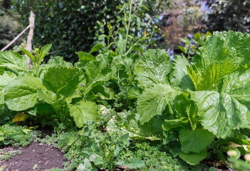 호텔 Claro De Luna