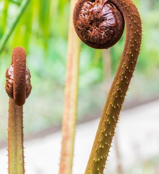 호텔 Claro De Luna