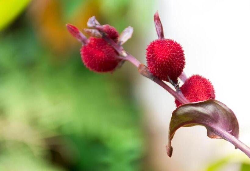 호텔 Claro De Luna