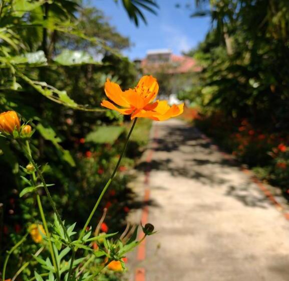 호텔 Claro De Luna