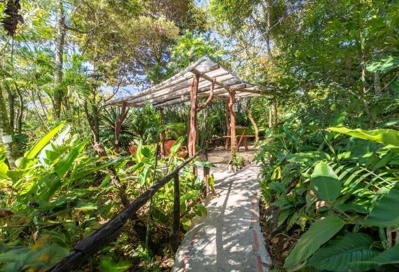 호텔 Claro De Luna