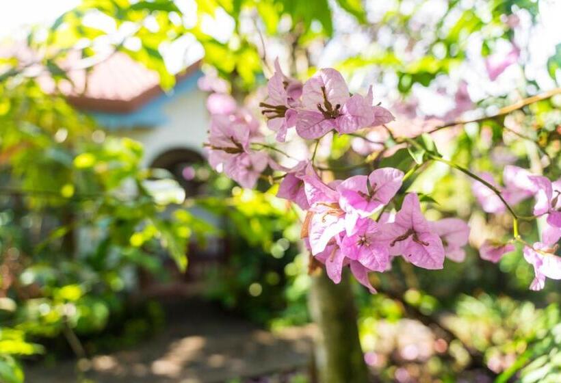 호텔 Claro De Luna