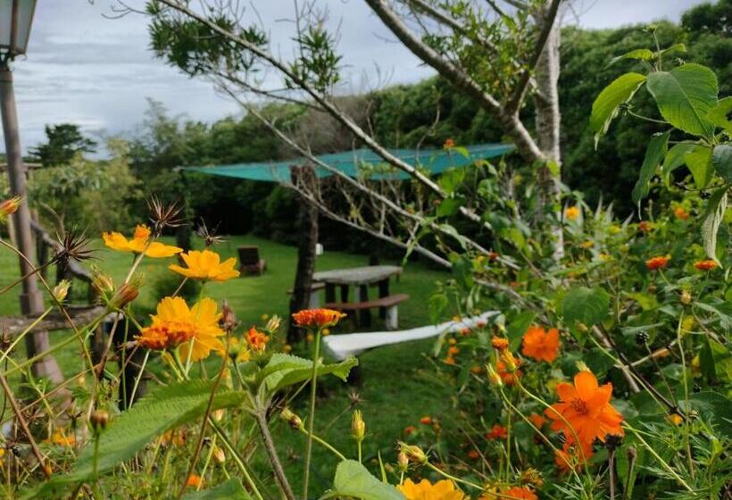 호텔 Claro De Luna