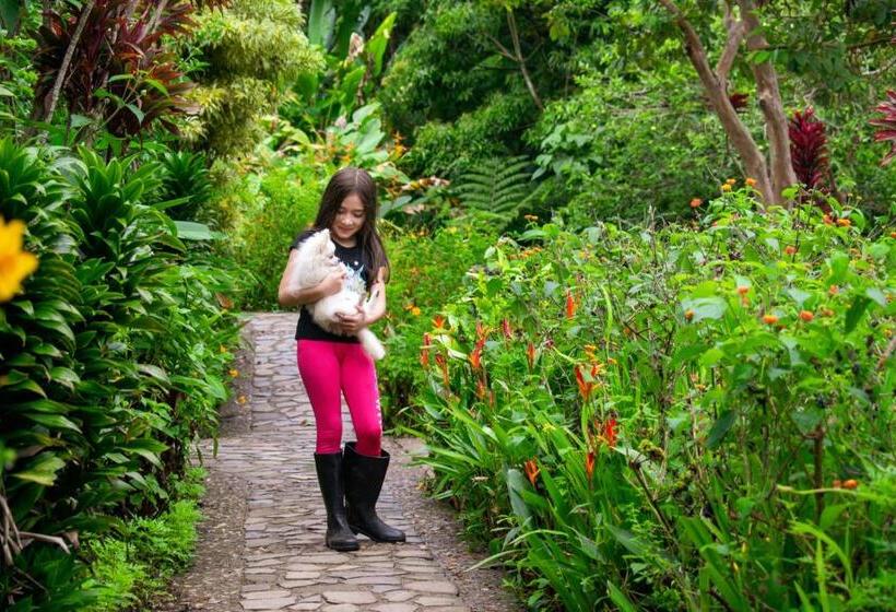 호텔 Claro De Luna