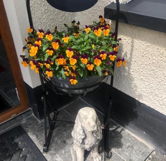 Отель Drumcoo Guest House