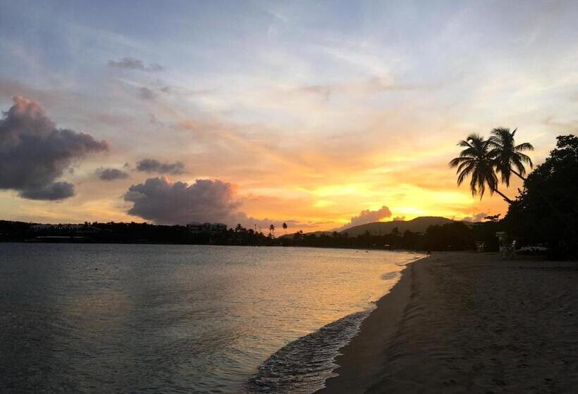 Hotel Emerald Beach Resort