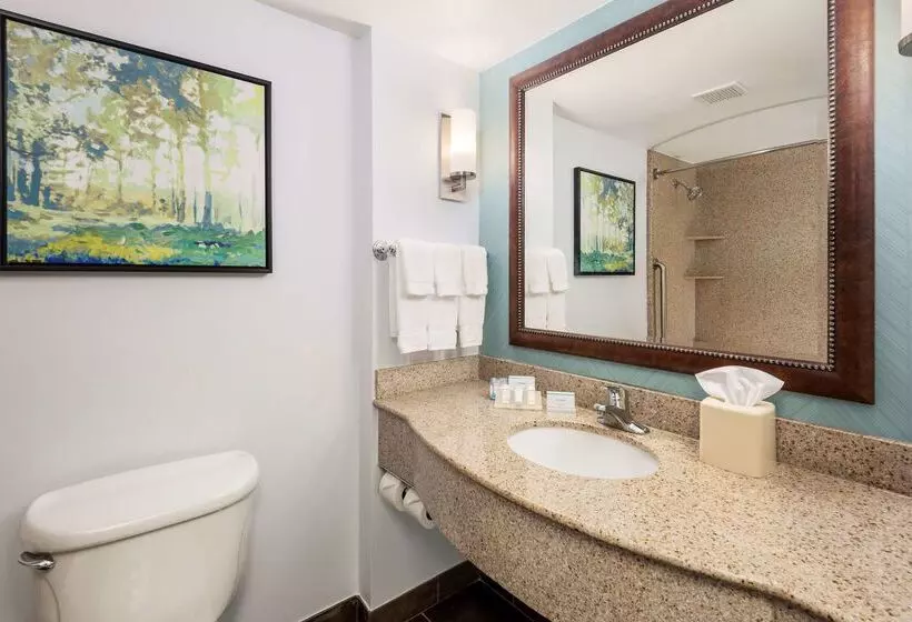 酒店 Hilton Garden Inn Lafayette/cajundome