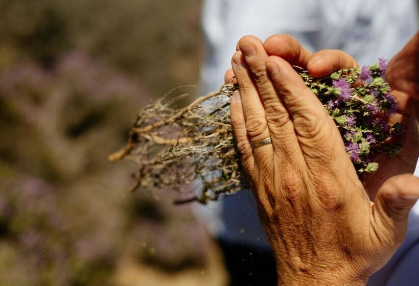 ホテル Paralos Irini Mare