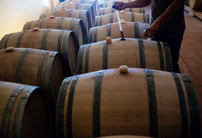 ホテル Paralos Irini Mare