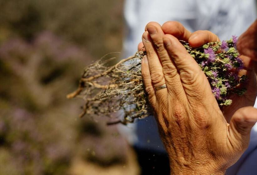 ホテル Paralos Irini Mare