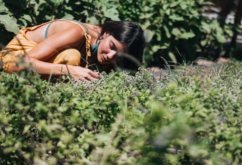 ホテル Paralos Irini Mare