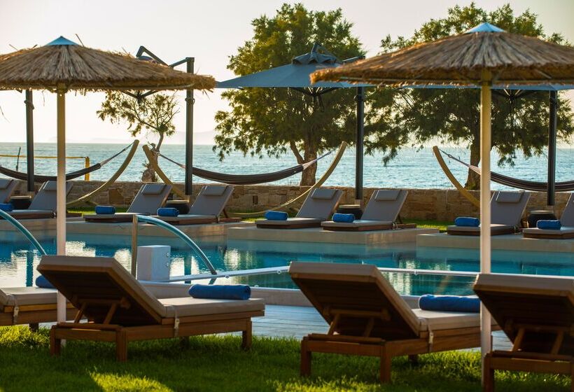 בית מלון כפרי Paralos Kosta Alimia